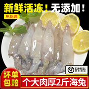 海兔子新鲜小鱿鱼鲜活鲜冻非满籽海兔乌贼商用海鲜水产笔管鱼2斤