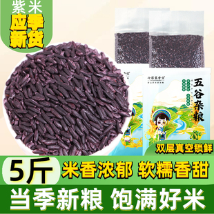 墨江紫米新米5斤云南农家五谷杂粮做紫糯米黑米糙米饭团煮粥新货