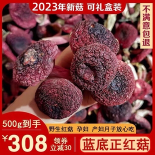 正宗野生蓝底正红菇500g干货，福建三明特级红菌月子小红菇红蘑菇