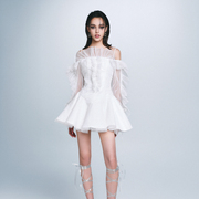 越南jireneswan连衣裙梦幻，圆点网纱芭蕾舞天鹅，裙白色长袖a字裙