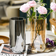 轻奢花瓶摆件玻璃透明水养富贵竹玫瑰百合插花客厅桌面落地装饰品