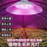 LED节能 植物补光灯 大棚蔬菜 草莓 花草植物生长防虫补光灯专用