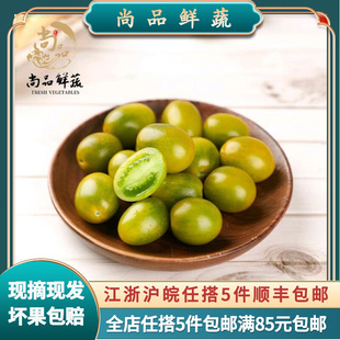 青口蜜圣女果正宗绿宝石绿色小番茄新鲜绿千禧超甜即食小柿子500g