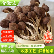 新货茶树菇干货250g农家制作天然不开伞嫩盖蘑菇金针菇