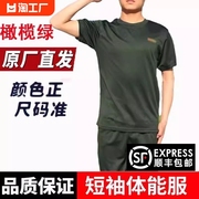 夏季体能训练服套装男体能服短袖t恤男武术体能短裤子五分袖