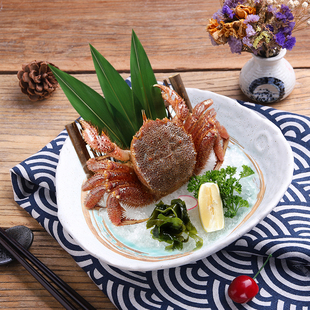 日式陶瓷餐具创意三角不规则，碗酒店用干冰，三文鱼刺身盘日料刺身碗