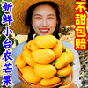 海南小台农芒果10斤新鲜水果当季时令热带水果整箱红金玉青煌芒果