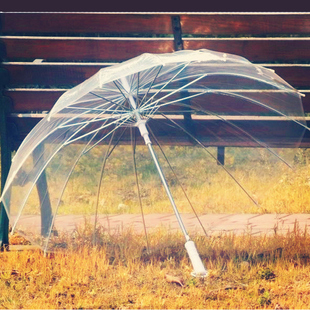 16骨透明雨伞长柄，伞创意雨伞自动伞明星，男女雨伞透明伞广告伞