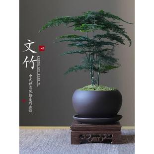 花草植物盆栽室内客厅中式禅意盆景好养绿植办公室摆件创意花