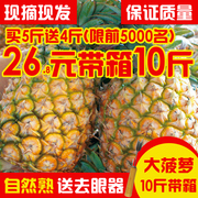 新鲜大菠萝越南品种手撕菠萝香水菠萝水果大果泰国品种除味送