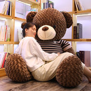 正版泰迪熊猫抱抱熊大熊毛绒玩具，熊公仔(熊，公仔)玩偶布娃娃女生生日礼物女