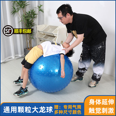 前庭平衡按摩球蓝丰感统训练器材