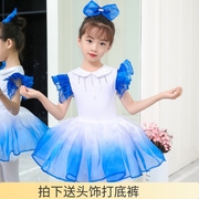 少儿童蓬蓬裙演出服蓝色幼儿园可爱舞蹈，女童蓬蓬合唱公主表演服装