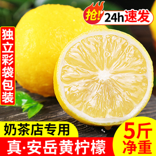 四川安岳黄柠檬(黄柠檬)新鲜水果奶茶店专用现摘无籽薄皮一级香水甜柠檬青