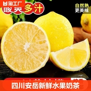 四川安岳黄柠檬(黄柠檬)新鲜水果，奶茶店专用现摘无籽薄皮一级香水甜柠檬黄
