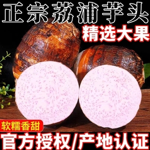 广西荔浦芋头新鲜正宗香芋特级现挖槟榔，芋艿紫藤毛芋10斤特产