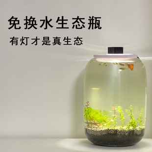 微景观生态瓶桌面小型鱼缸造景观赏鱼虾，diy创意礼物生态鱼缸材料