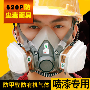 3m防毒面具防甲醛6005喷漆化工气体，防护面罩专业防尘防农药呼吸罩