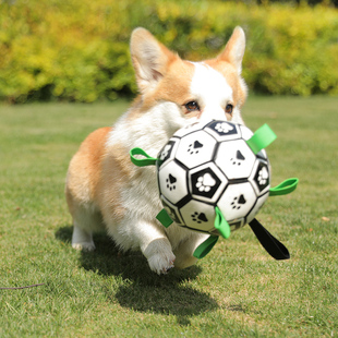 狗狗玩具球边牧自嗨玩具拉布拉多，柯基训练专用狗足球耐咬宠物用品