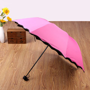 创意三折叠黑胶遇水开花伞，广告伞晴雨伞，创意网红户外晴雨伞