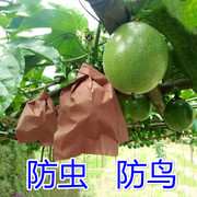 百香果套袋专用袋套果纸袋子水果防虫，防鸟防水单双层(单双层)袋透气光