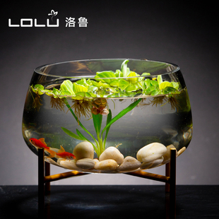 透明玻璃花瓶铜钱草水培植物，花盆大码绿萝玻璃器皿客厅圆形鱼缸