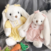 小清新穿裙兔子毛绒玩具公仔长耳兔娃娃玩偶摆件生日礼物儿童女孩