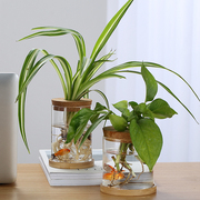 欧式玻璃花瓶透明水培植物，客厅装饰摆件办公桌插花瓶水养植物器皿