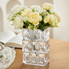 水晶花瓶摆件客厅插花玻璃，透明ins风网，红轻奢高级感水养鲜花玫瑰