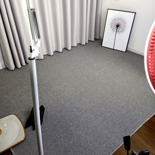 华德卧室办公室客厅满铺地毯拍照服装背景毯摄影布地毯定制