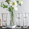 玻璃花瓶透明水养富贵竹百合，花瓶摆件客厅，插花干花北欧家用特大号
