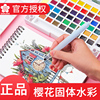 日本樱花固体水彩颜料24色36色48色美术专用泰伦斯固体水彩套装初学者学生用画画水彩画工具全套水粉固体颜料