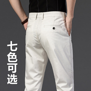 夏季男士休闲裤红色条纹格子弹力彩色直筒时尚商务白色长裤子