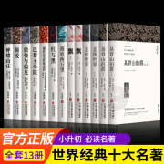 世界十大名著全套10册简爱书籍巴黎圣母院基督山伯爵，悲惨世界书飘傲慢与偏见，正版原著文学经典小说必读中学生初中生课外阅读