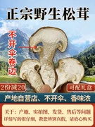 西藏林芝特产干货野生菌松茸干片香菇煲汤食用农产品菌500克