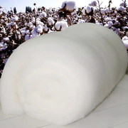 新疆棉被长绒棉花四季被芯结婚用棉絮棉垫褥子加厚订做单双人用