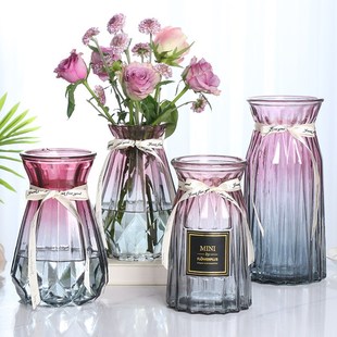 北欧创意透明玻璃花瓶水培绿萝植物干花鲜花插花瓶，客厅装饰摆件