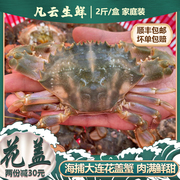 花盖蟹鲜活超大螃蟹，赤甲红石甲蟹新鲜梭子蟹，飞蟹青蟹大连海鲜水产