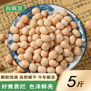农家新货白豌豆干货生豌豆，食用干豌豆粒，可发芽做碗杂面5斤装