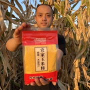玉米糁新疆特产天山旱沃玉米，渣稀饭玉米饼，农家黏玉米糁杂粮粗粮米