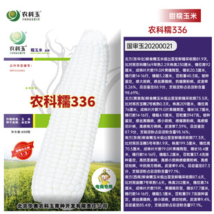 北京农林科学院研发农科，糯336白甜糯玉米，种子糯玉米种子杂交品种