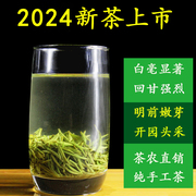 信阳毛尖茶2024新茶明前特级嫩芽高山手工绿茶自产自销500g散装