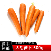 新鲜大胡萝卜500g 时令蔬菜红萝卜生吃甜脆炒菜配料食材 5件