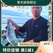 大马哈鱼整条鲜鱼冷冻黑龙江抚远东北特产马哈鱼新鲜速冻大鱼