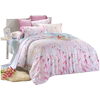 春夏双面天丝四件套床单，被套被罩夏季床上用品网红4件套田园风