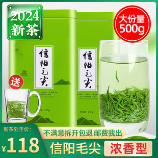 茶叶2024新茶信阳毛尖，雨前嫩芽高山绿茶浓香型，自己喝春茶散装500g