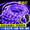 12V紫色led灯带杀菌验钞消毒固化紫外线捕蚊灯荧光灯uv紫光灯带条
