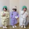 2024春季韩版纯色两件套长袖套头男女宝婴儿运动套装洋气韩系