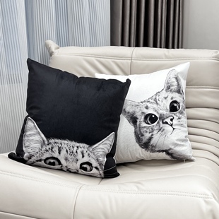 可爱猫咪抱枕北欧ins靠垫客厅沙发，腰枕靠背垫床头靠枕套女生礼物