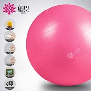 体操球瑜珈装备室内器材大球助产顺产瑜伽球按摩孕训练器瑜珈球加
